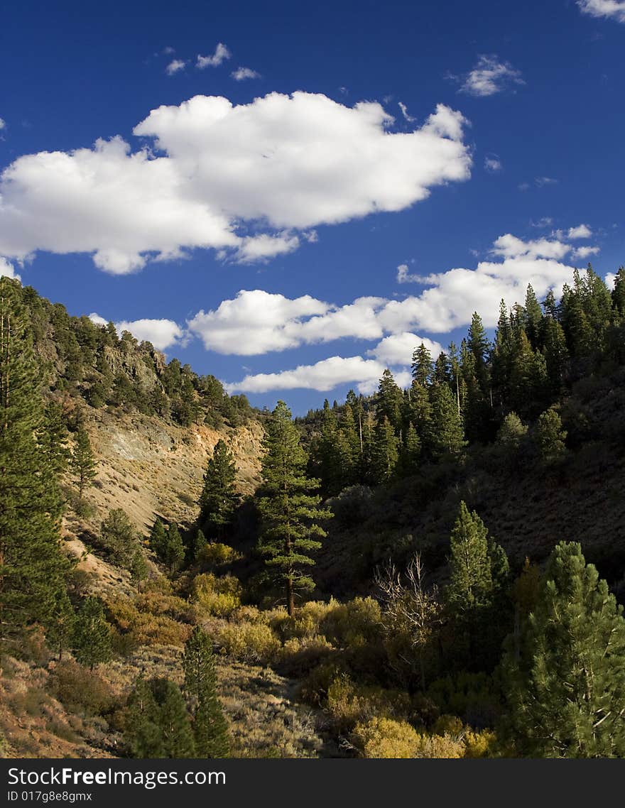 Blue sky with mountain canyon and tree in the center. Blue sky with mountain canyon and tree in the center.