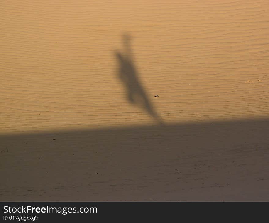 Shadow on desert