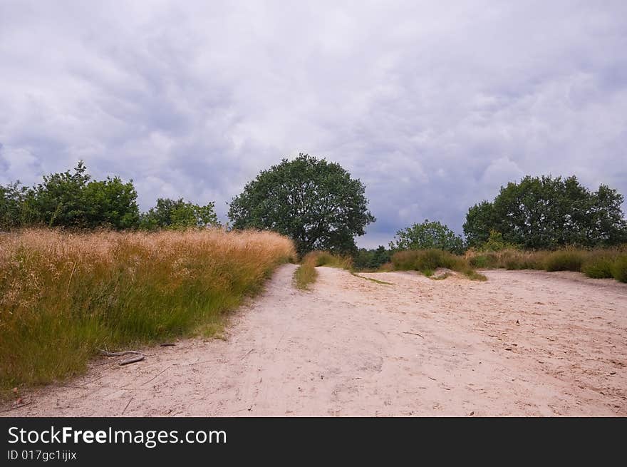 Sand path in a rural environment with dark rain clouds. Sand path in a rural environment with dark rain clouds