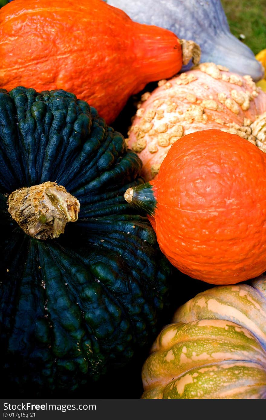 Decorative pumpkins