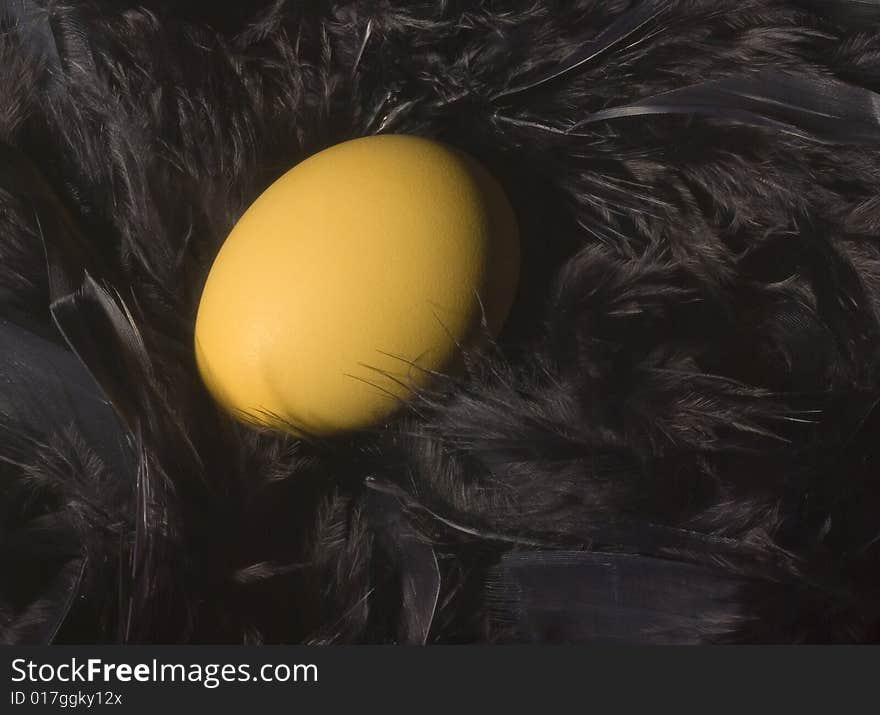 Gold-looking egg nestling in a luxurious nest of black feathers. Concept for retirement and long-term saving. Gold-looking egg nestling in a luxurious nest of black feathers. Concept for retirement and long-term saving.