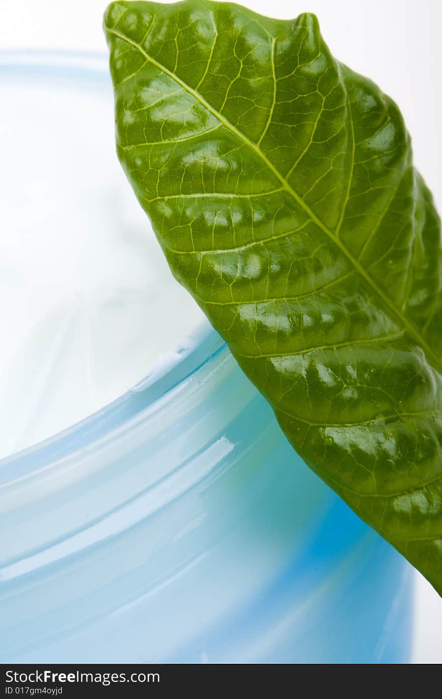 Moisturizer and green leaf close up. Moisturizer and green leaf close up