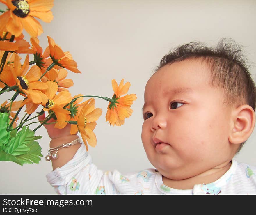 A cute baby and flower with white background. A cute baby and flower with white background