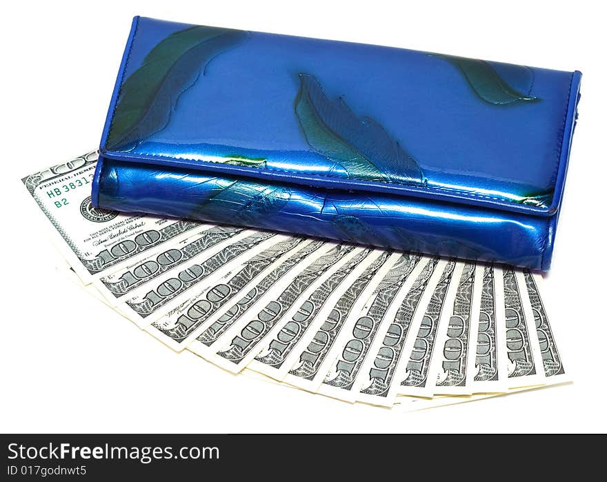 Wallet with one hundred dollars