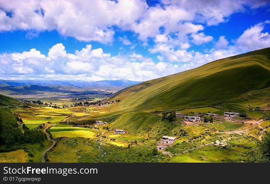 Valley of Flower in btibet