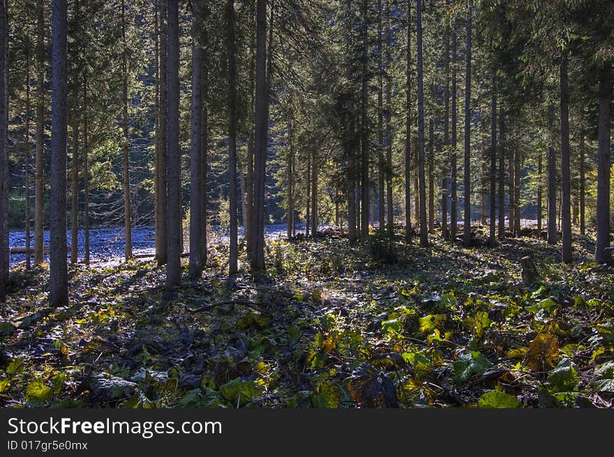 A small river in the Tirol region of Austria during Autumn. A small river in the Tirol region of Austria during Autumn