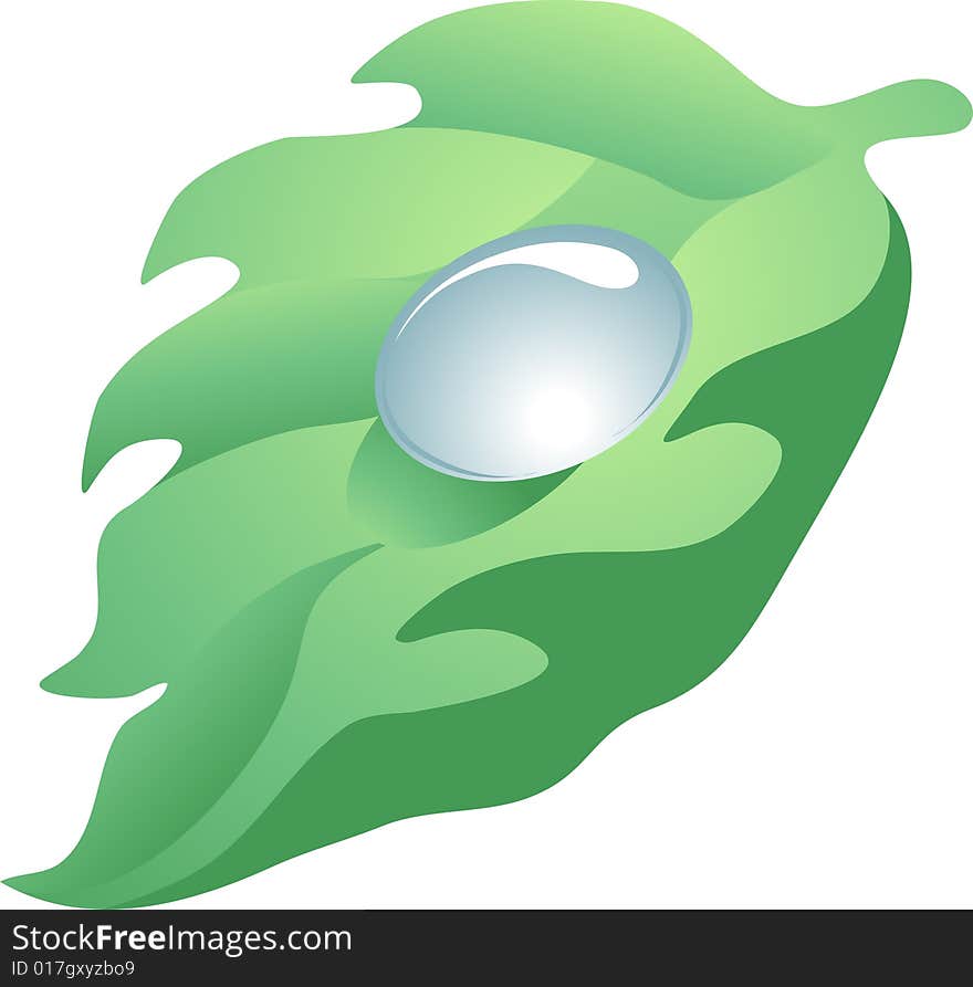 Protect the Earth : vector illustration of the leaf with the drop