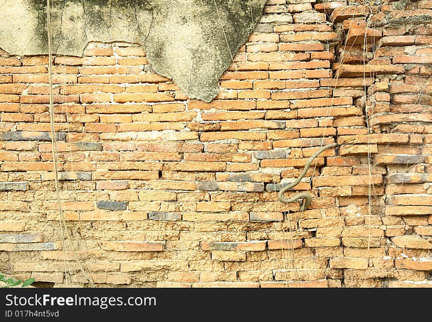 Brick Wall at Ancient city