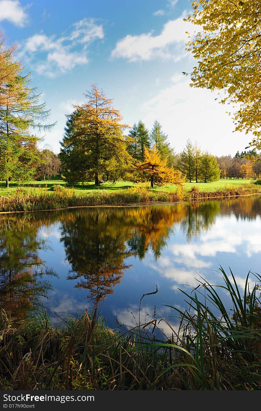 Beautibul scene in autumn forest. Beautibul scene in autumn forest