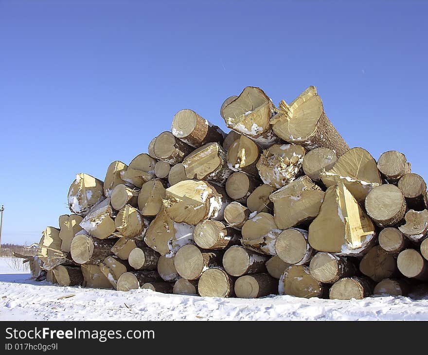 The cut trees lay on snow laid in a stack. The cut trees lay on snow laid in a stack