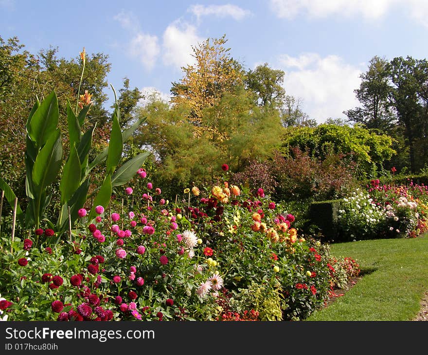 Garden path with a lot of flowers