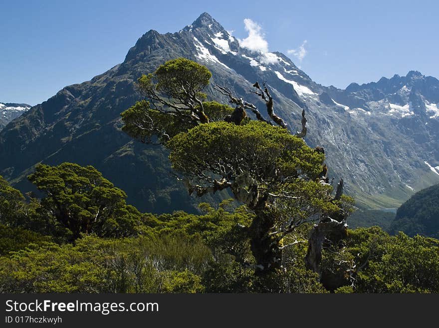 View from the top of Key Summit, Milford Sound, Fiordland National Park, New Zealand. View from the top of Key Summit, Milford Sound, Fiordland National Park, New Zealand