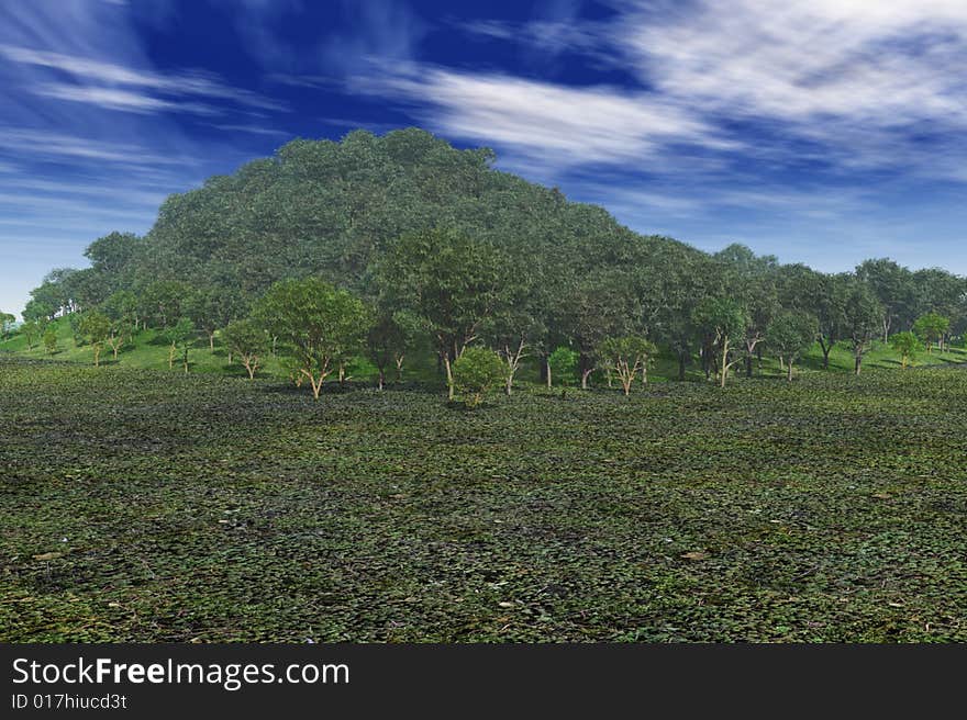 Lush Hilltop