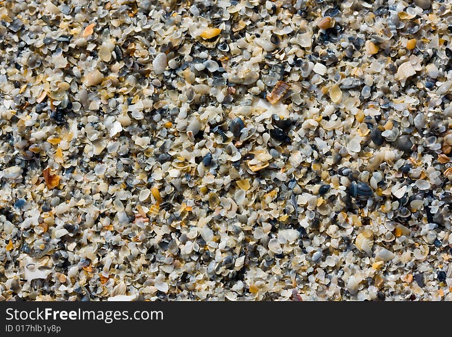 Sand with seashells background