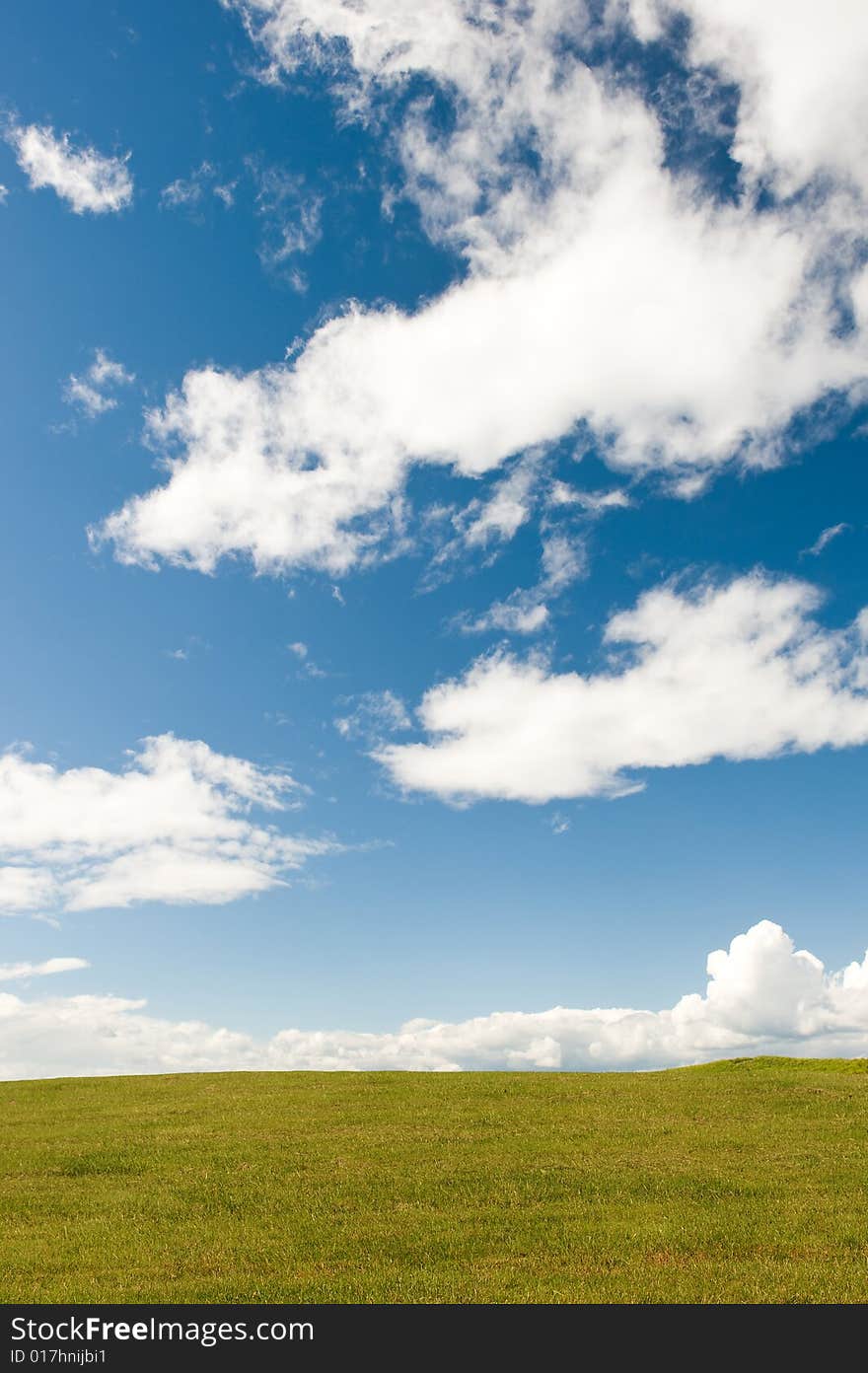 Green meadow and the blue sky with white clouds