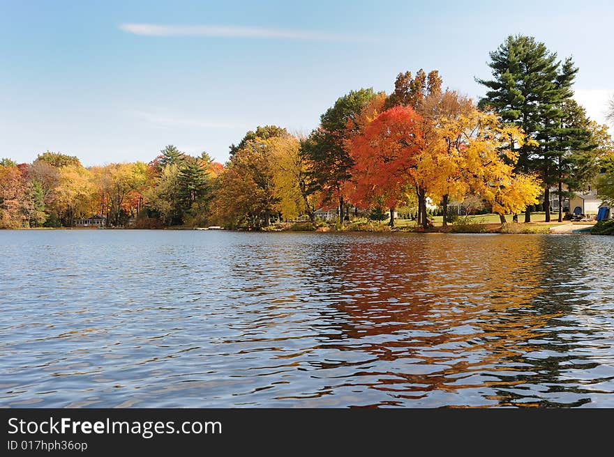 Multi-colored autumn trees at lake. Multi-colored autumn trees at lake