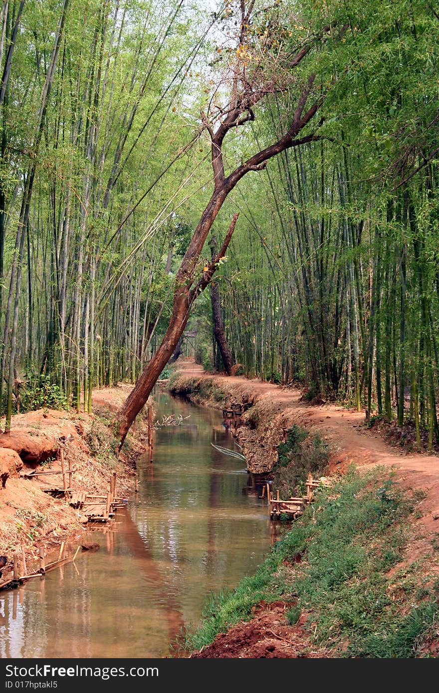 Small river in myanmar in the midle of the forest. Small river in myanmar in the midle of the forest