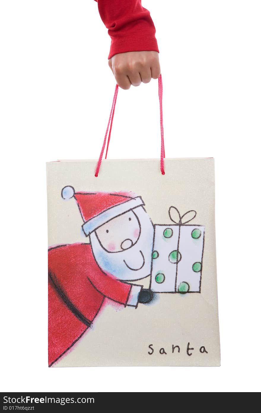 Woman holding christmas present bag in the hand