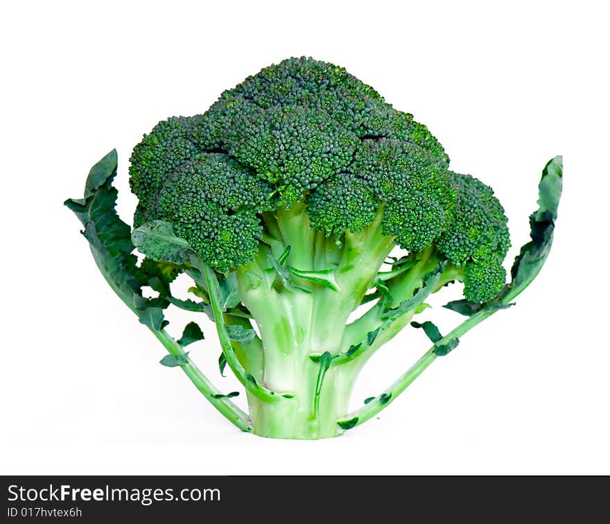 Broccoli