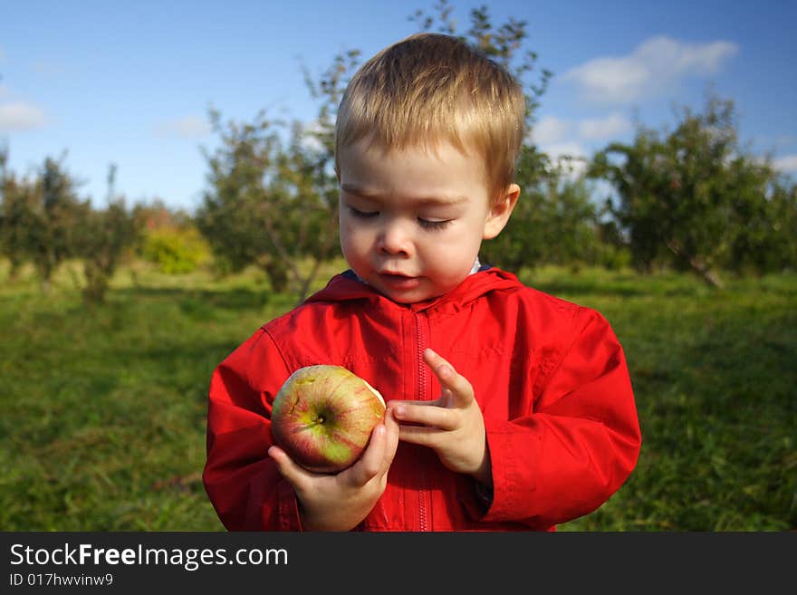 A toddler boy wearing a red jacket looking at a freshly picked apple at the orchard. A toddler boy wearing a red jacket looking at a freshly picked apple at the orchard.