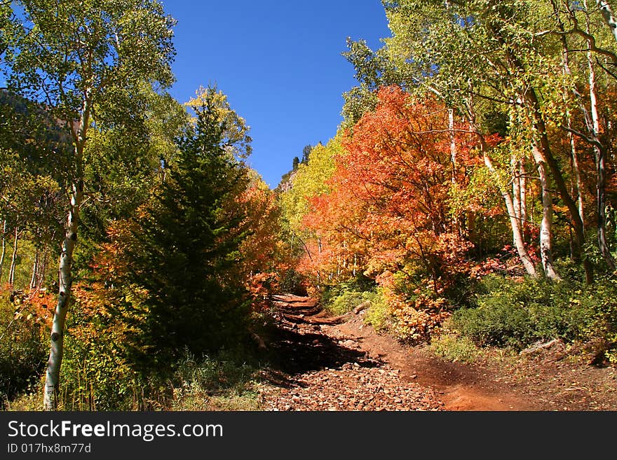 High mountain road in the fall showing all the fall colors. High mountain road in the fall showing all the fall colors