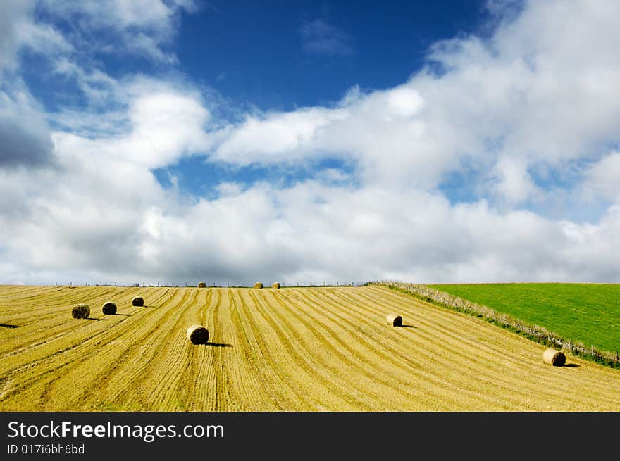 Broad field of hay bales. Broad field of hay bales