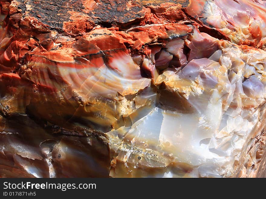 Petrified wood, taken at petrified forest national park.