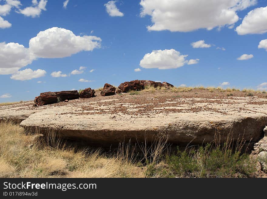 Landscape taken at Petrified forest national park