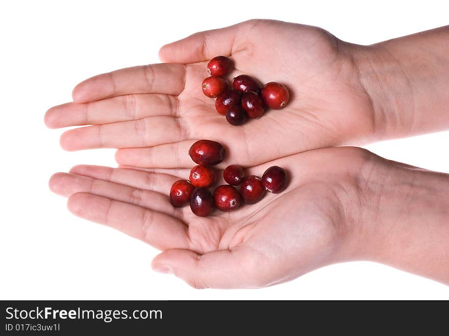 Cranberries rolling from one hand onto another