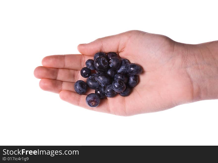 Blueberries rolling off the hand