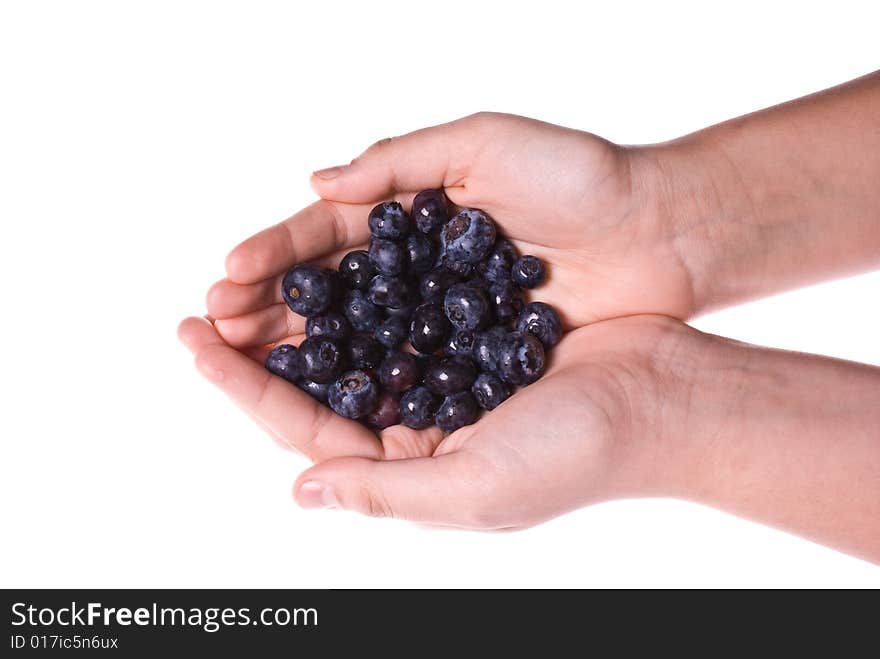 Delicious fresh organic blueberries in two cupped hands. Delicious fresh organic blueberries in two cupped hands