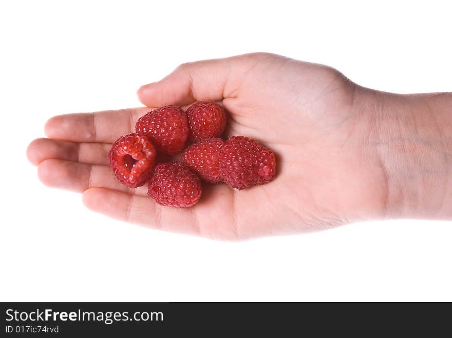 Delicious fresh organic raspberries in a palm of a hand. Delicious fresh organic raspberries in a palm of a hand