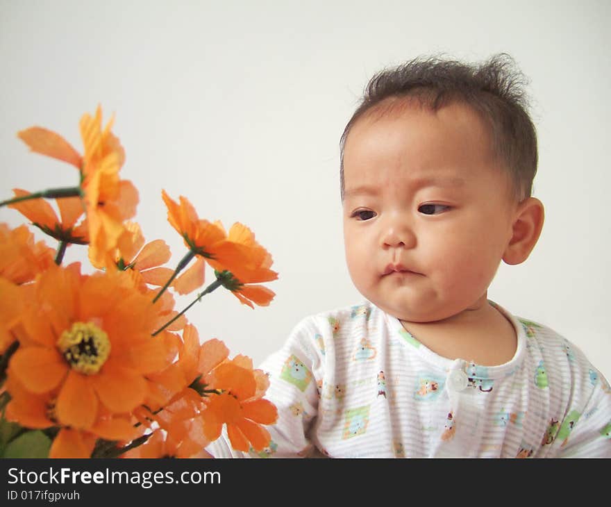 A cute baby and flower with white background. A cute baby and flower with white background