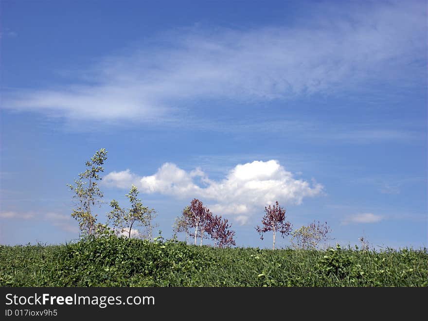 Clouds in blue skies, Pulau Ubin,Singapore