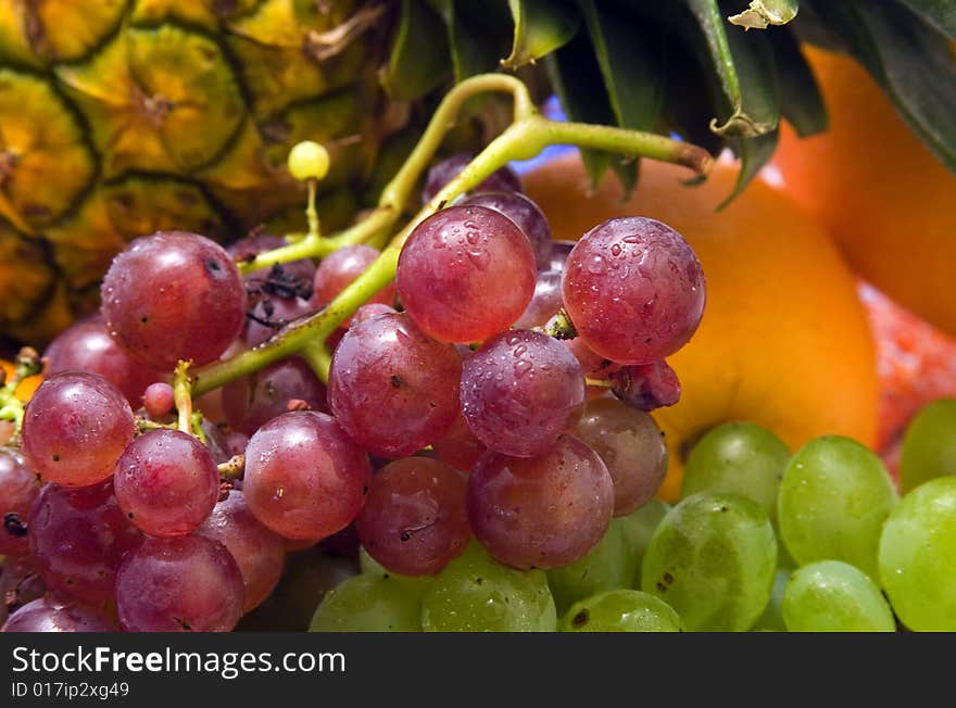 Tropical fruit close up.