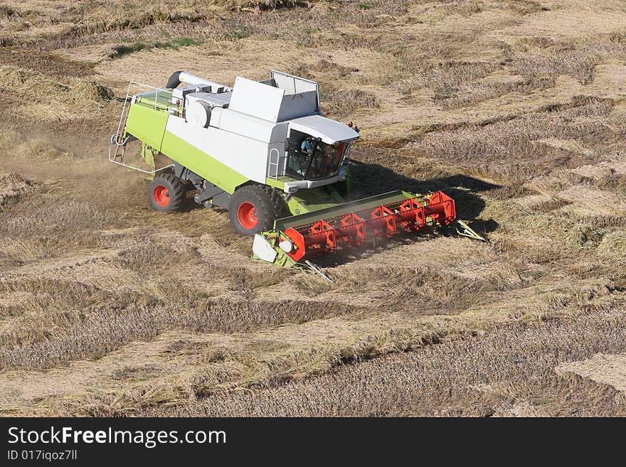 Harvesting the corn field