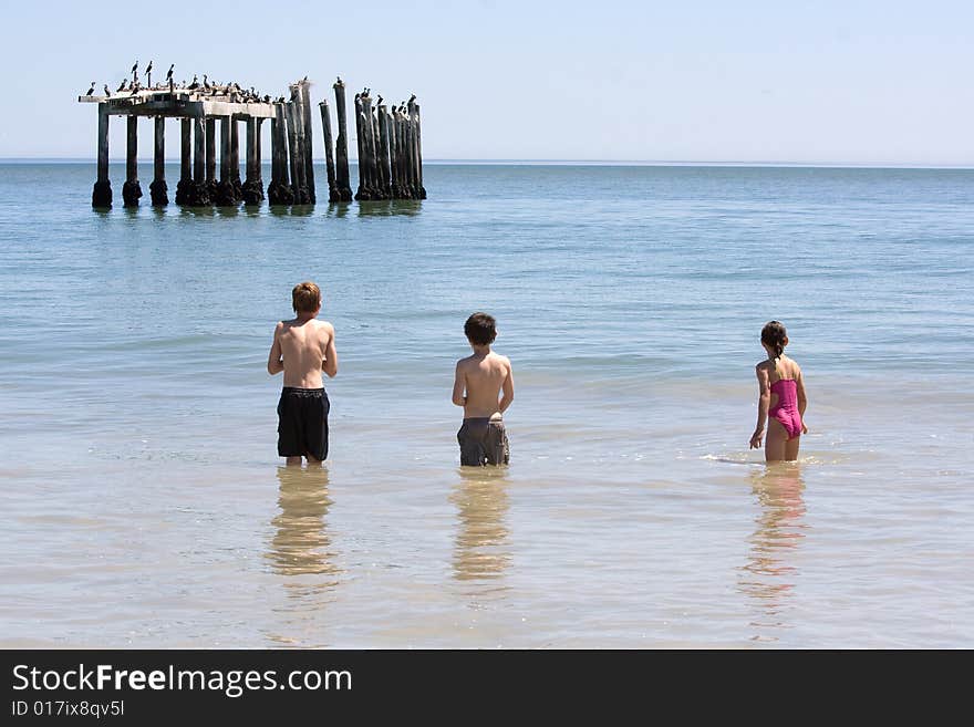 Two little boys and a girl, standing in the sea looking at a bird colony on an abandoned pier. Two little boys and a girl, standing in the sea looking at a bird colony on an abandoned pier.