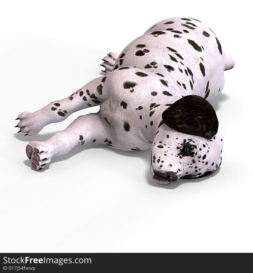 Cute Puppy Dalmation