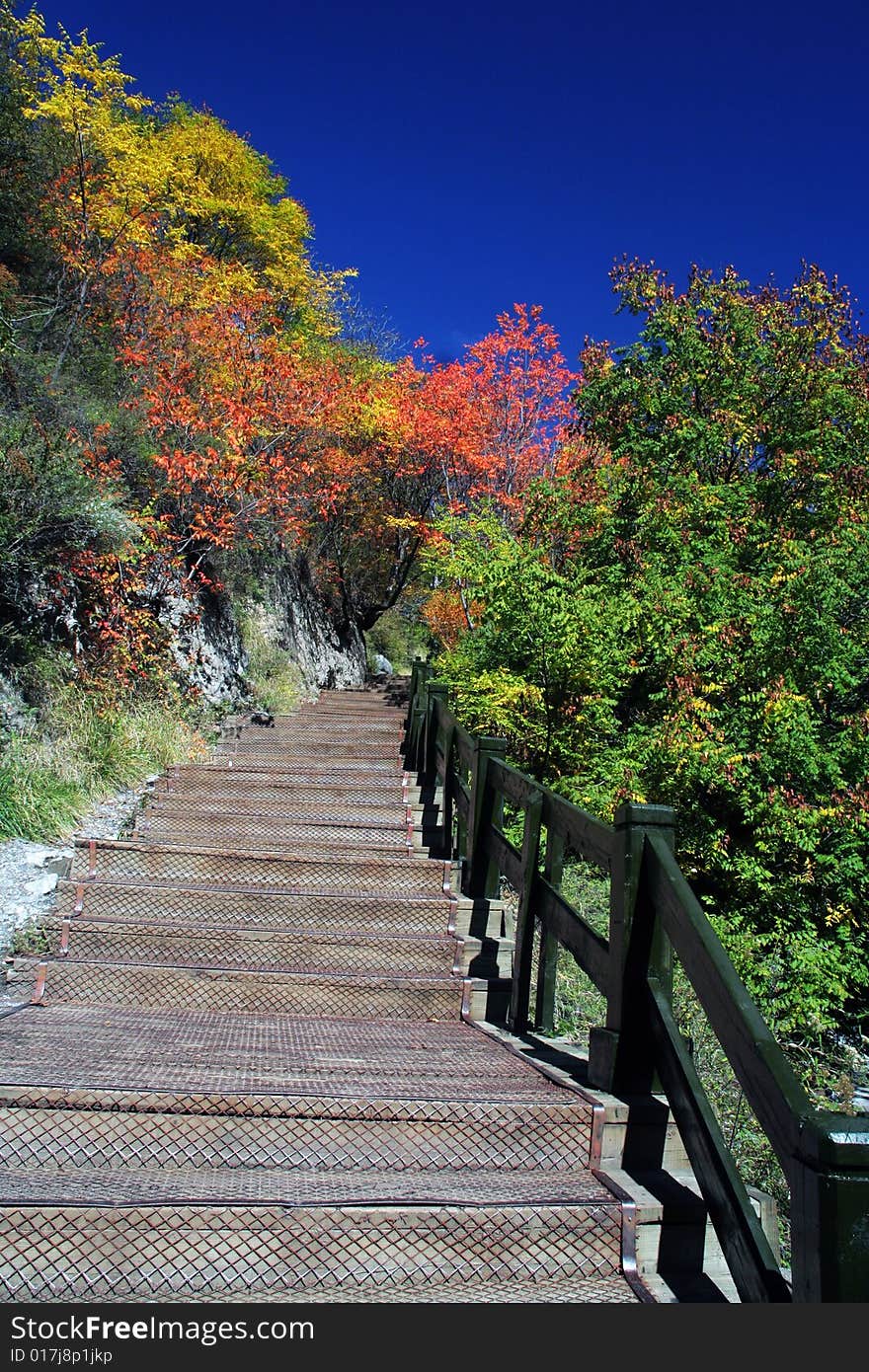 Stairway to Autumn