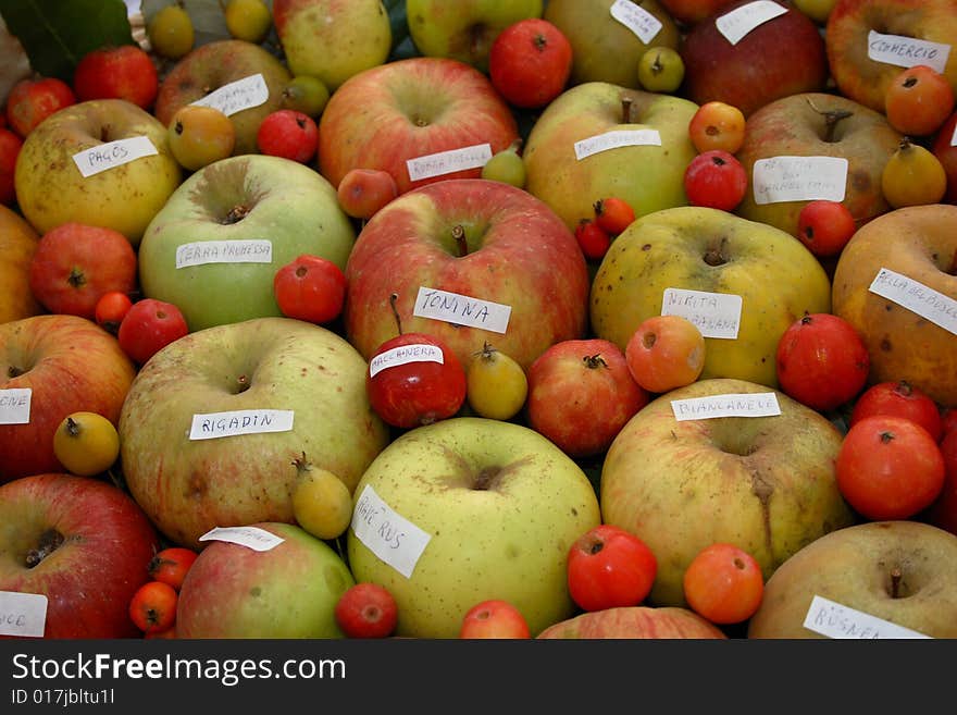 Apples different quality