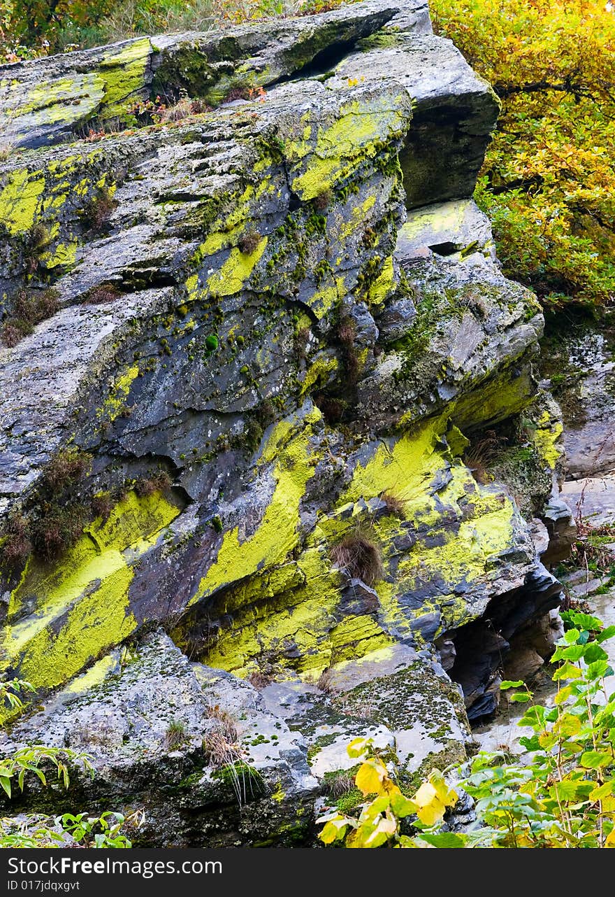 An atumn colors rock texture. An atumn colors rock texture