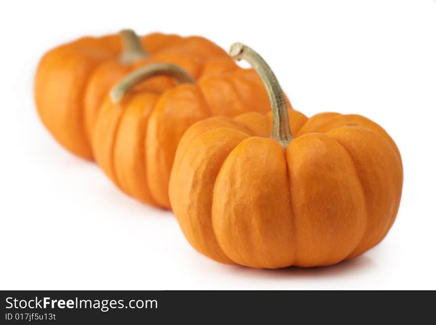 Three pumpkin halloween thanksgiving harvest isolated. Three pumpkin halloween thanksgiving harvest isolated