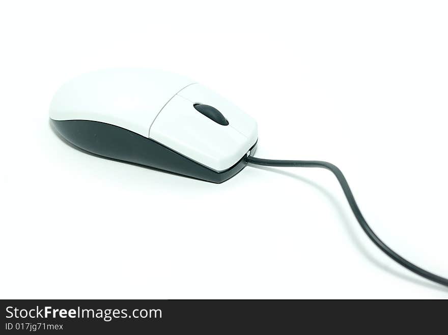 Computer mouse isolated on white background