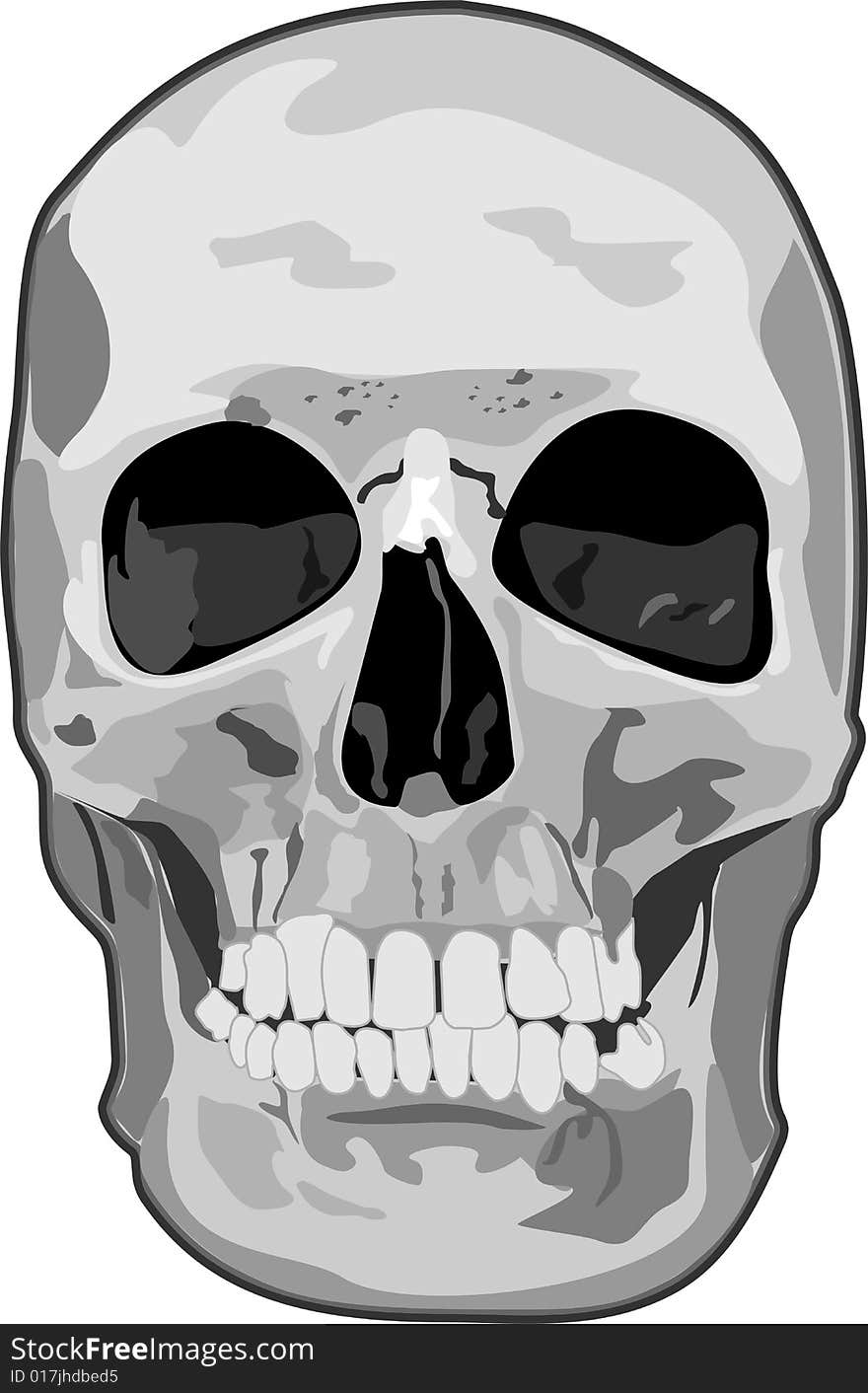 Skull