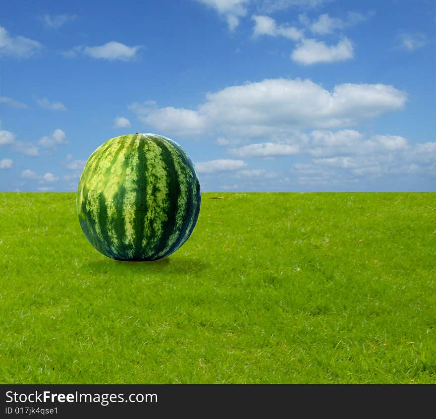 Watermelon on grass