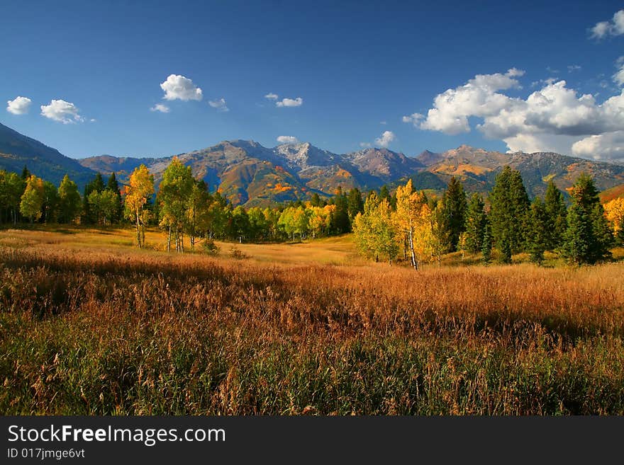 Fall colors on a high mountain meadow with blue sky and clouds