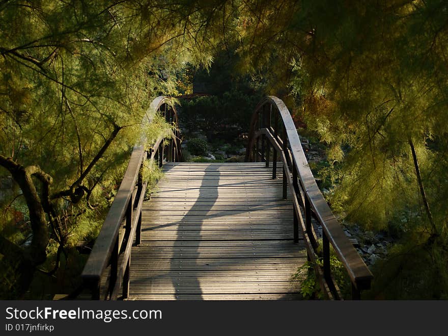 Shot of a wooden bridge in autumn