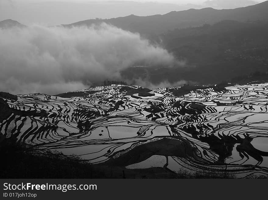 The morning Shot of a hill paddy field with mist, taken in Yunan, China. The morning Shot of a hill paddy field with mist, taken in Yunan, China