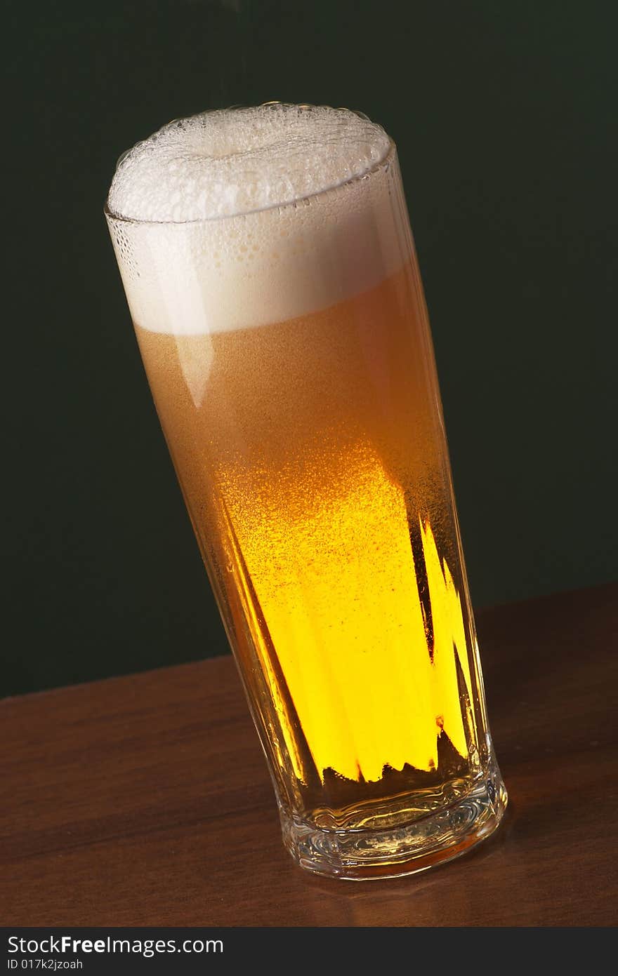 Freshly Poured Beer in a Tall Glass