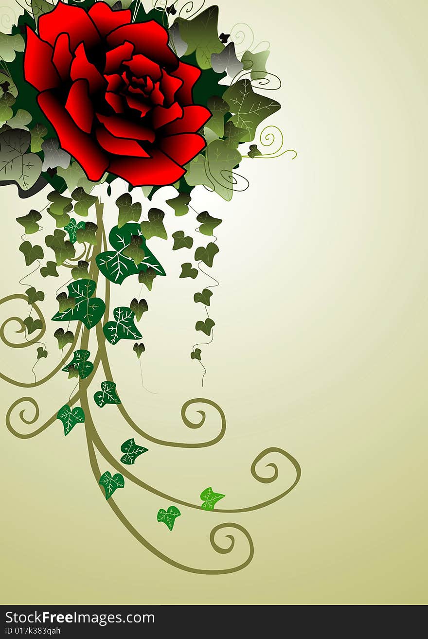 Red Rose And Ivy Background